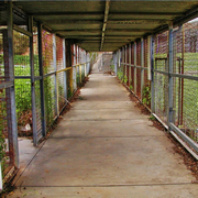 A caged area between wings at Magill Training Centre